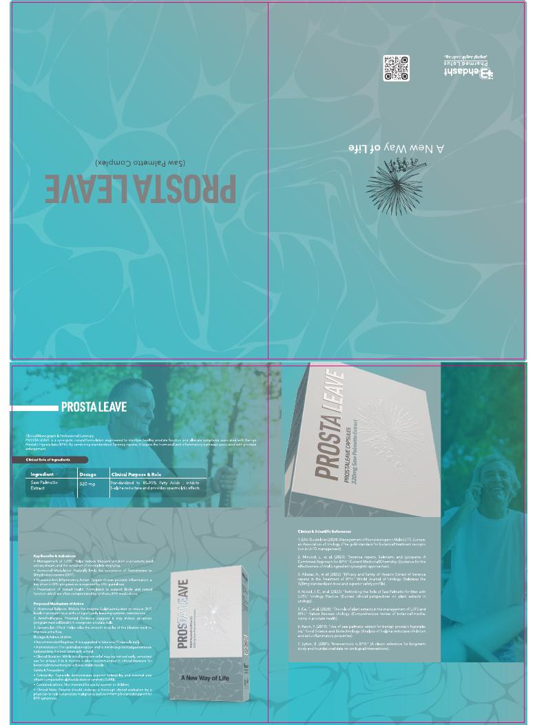 First page of the ProstaLeave brochure